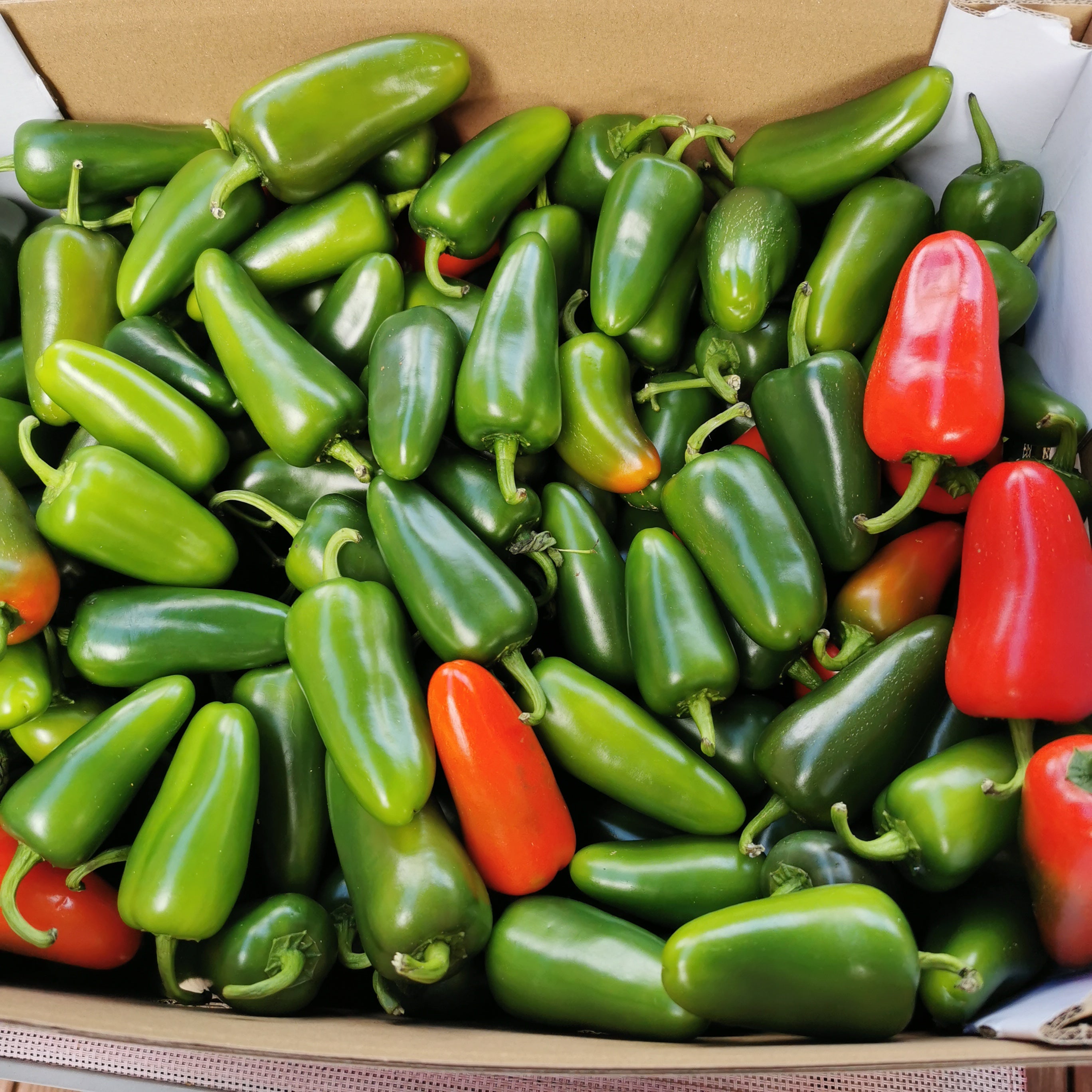 Frische Chilis Luigi's Pizza & BBQ School