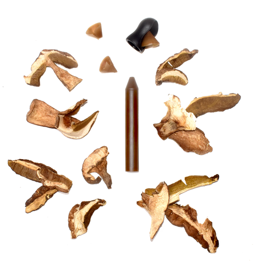 Gewürz Buntstift Steinpilz mit Anspitzer