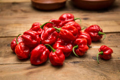 Frische Chili kaufen Habanero Rot