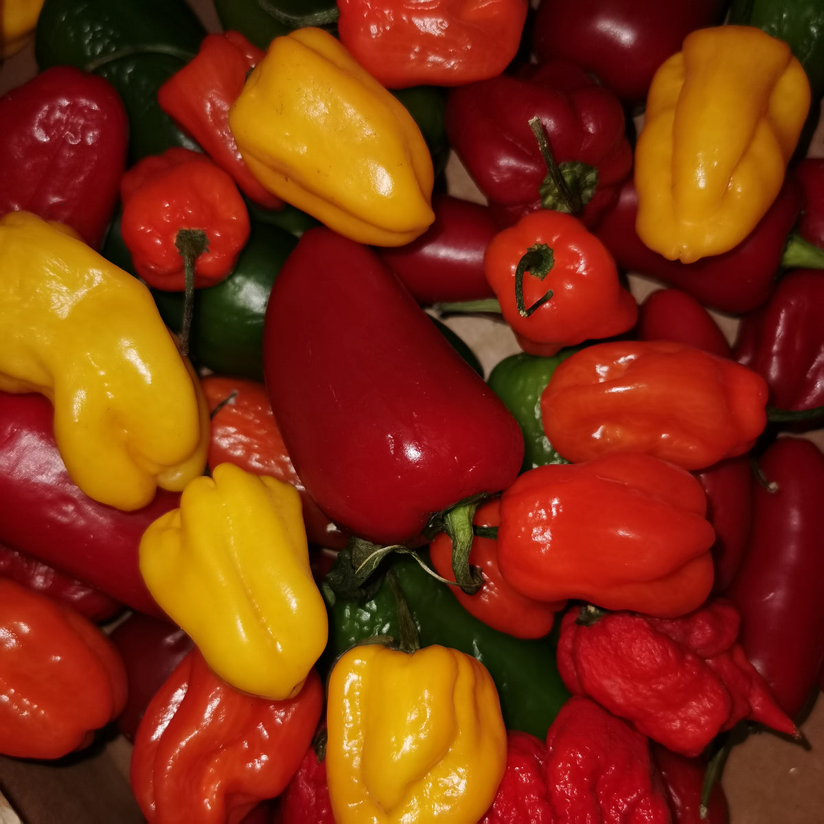 Hot Mix Chilis