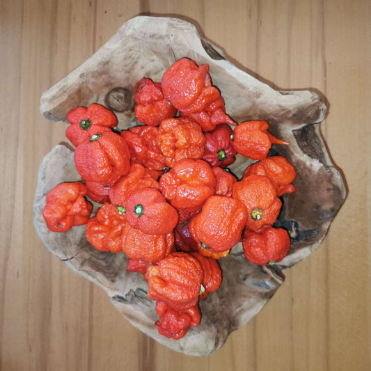 Carolina Reaper 100 gr Frische Chili Chili Luigi's Pizza & BBQ School 