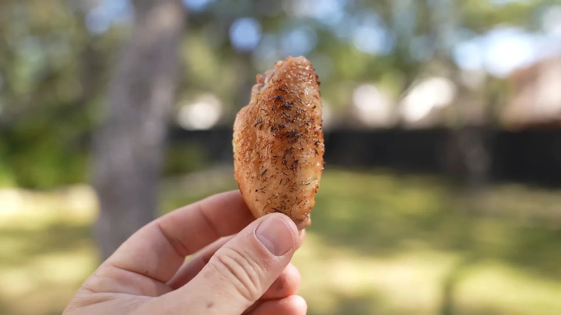 Dill Pickle Rub Fat Plate BBQ Gewürzmischung Luigi's Pizza & BBQ School 