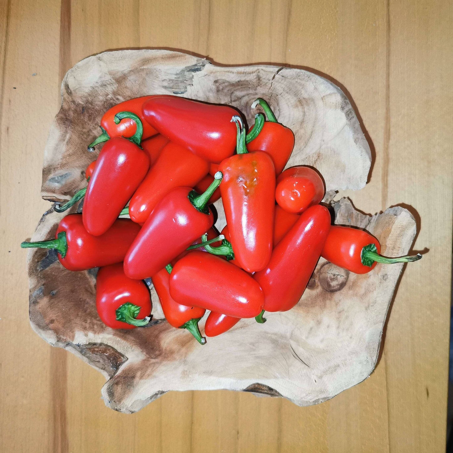 Jalapenos Frisch 800g Rot & Grün & Mix Chili Luigi's Pizza & BBQ School 