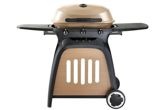 Ryde 3 Brenner Gasgrill Grill Luigis BBQ & Pizza School 